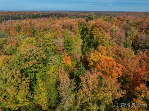 316 Acres Us 141, Covington, MI 49919 photo 37