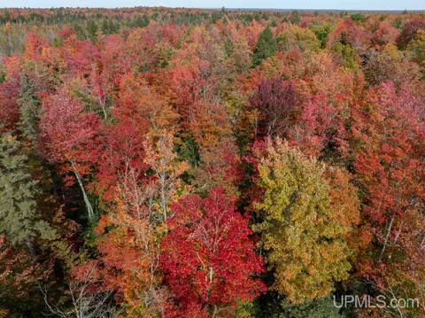 316 Acres Us 141, Covington, MI 49919 photo 34