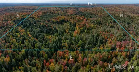 316 Acres Us 141, Covington, MI 49919 photo 44