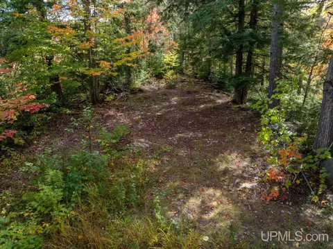 316 Acres Us 141, Covington, MI 49919 photo 33