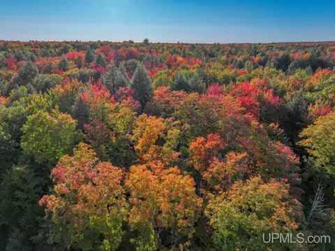 316 Acres Us 141, Covington, MI 49919 photo 7