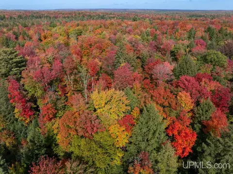 316 Acres Us 141, Covington, MI 49919 photo 5