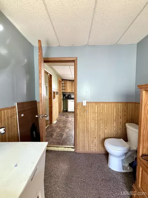 Other - 315 W Barnum, Ishpeming, MI 49849 photo 4 of 14