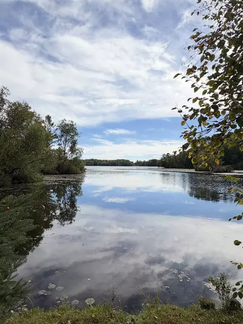 View/Area - 5330 Scottish Hills Dr, Gladwin, MI 48624 photo 2 of 11