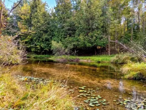 35 N 11 Acres N Hockaday, Gladwin, MI 48624 photo 65