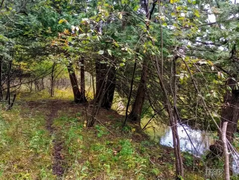 35 N 11 Acres N Hockaday, Gladwin, MI 48624 photo 62