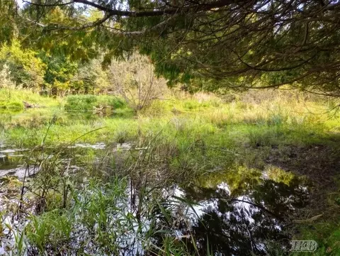 35 N 11 Acres N Hockaday, Gladwin, MI 48624 photo 39