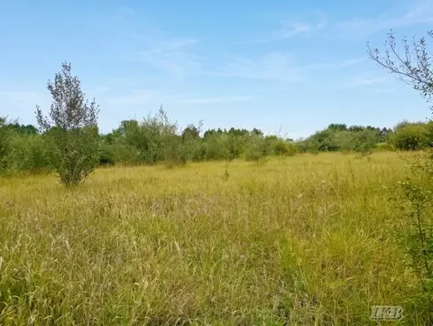 35 N 11 Acres N Hockaday, Gladwin, MI 48624 photo 34