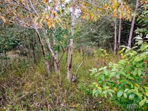 35 N 11 Acres N Hockaday, Gladwin, MI 48624 photo 35