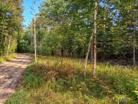 35 N 11 Acres N Hockaday, Gladwin, MI 48624 photo 83