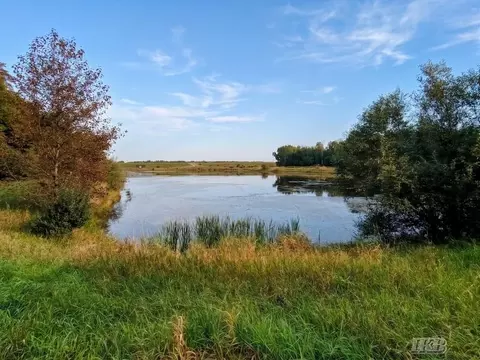 35 N 11 Acres N Hockaday, Gladwin, MI 48624 photo 7