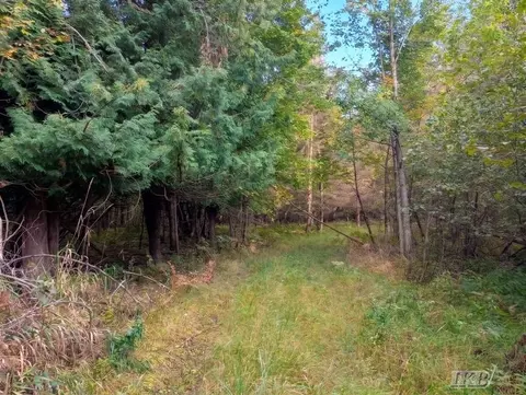 35 N 11 Acres N Hockaday, Gladwin, MI 48624 photo 18