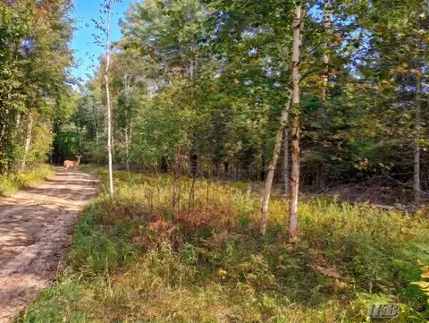 35 N 11 Acres N Hockaday, Gladwin, MI 48624 photo 14