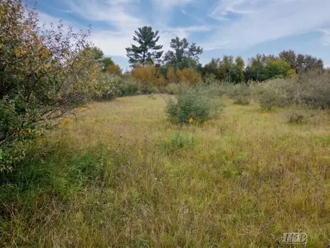 35 N 11 Acres N Hockaday, Gladwin, MI 48624 photo 50
