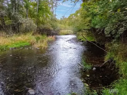 35 N 11 Acres N Hockaday, Gladwin, MI 48624 photo 57