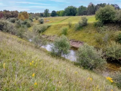 35 N 11 Acres N Hockaday, Gladwin, MI 48624 photo 49