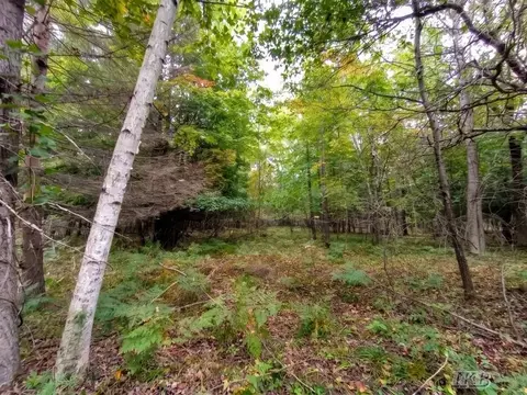 35 N 11 Acres N Hockaday, Gladwin, MI 48624 photo 59