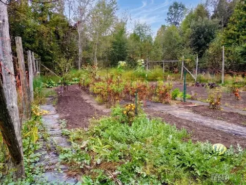 35 N 11 Acres N Hockaday, Gladwin, MI 48624 photo 67
