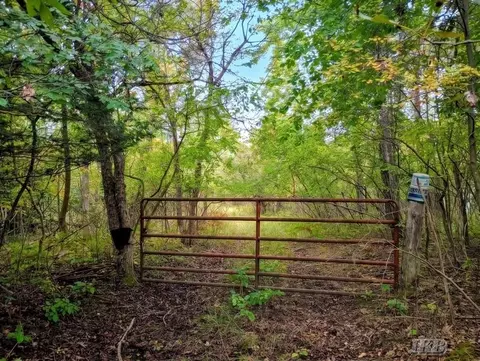 35 N 11 Acres N Hockaday, Gladwin, MI 48624 photo 15