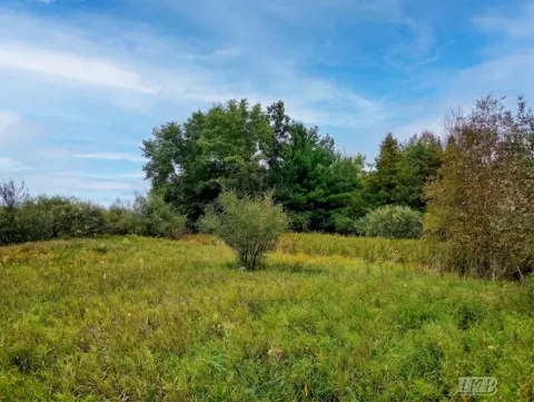 35 N 11 Acres N Hockaday, Gladwin, MI 48624 photo 52