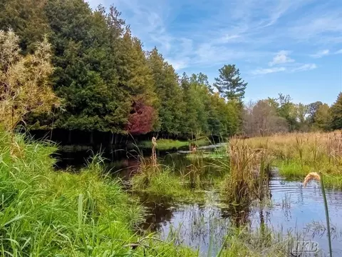 35 N 11 Acres N Hockaday, Gladwin, MI 48624 photo 27