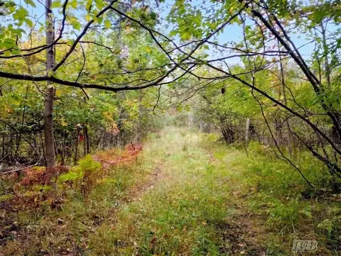 35 N 11 Acres N Hockaday, Gladwin, MI 48624 photo 16