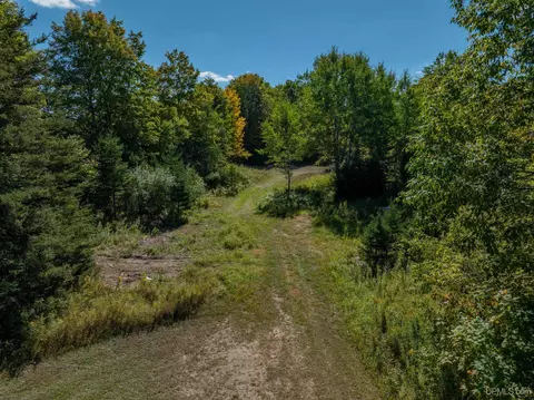 Exterior - n4750 South Samuelson Road, Chatham, MI 49816 photo 4 of 13