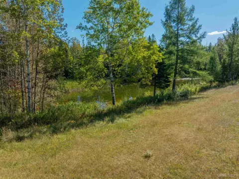 View/Area - n4750 South Samuelson Road, Chatham, MI 49816 photo 4 of 4