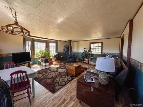 Living - n4750 South Samuelson Road, Chatham, MI 49816 photo 4 of 5