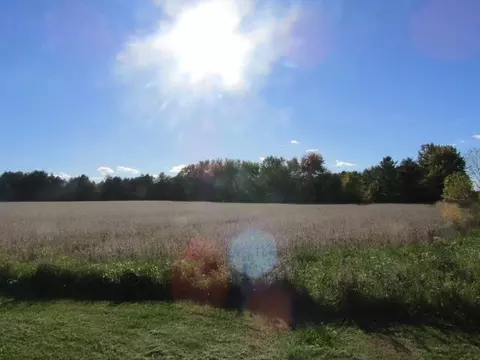 Garrison, Laingsburg, MI 48848