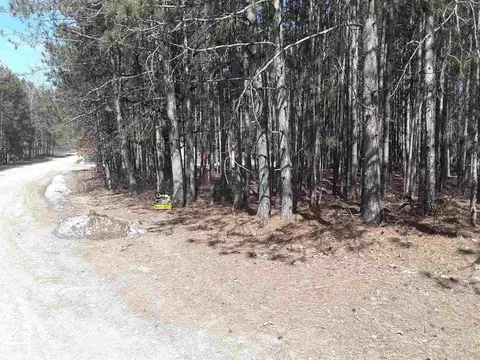 12380 Pine Mesa, Stanwood, MI 49346