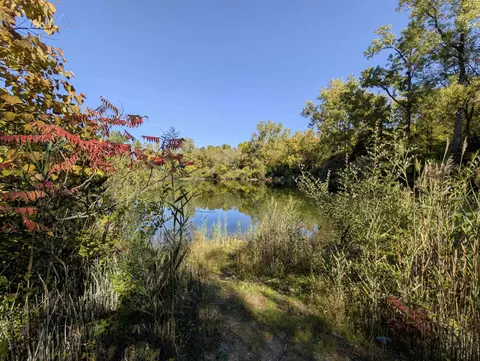 1411 Coutant, Flushing, MI 48433 photo 7