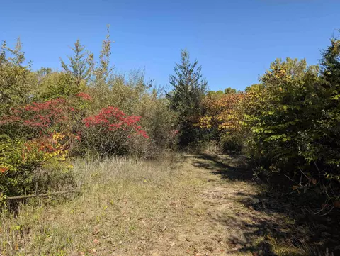 1411 Coutant, Flushing, MI 48433 photo 8