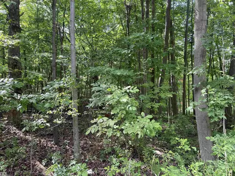 0 Burton, Mussey, MI 48014