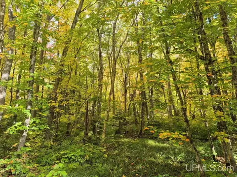 80 Acres Co Rd 510, Ishpeming, MI 49849 photo 13