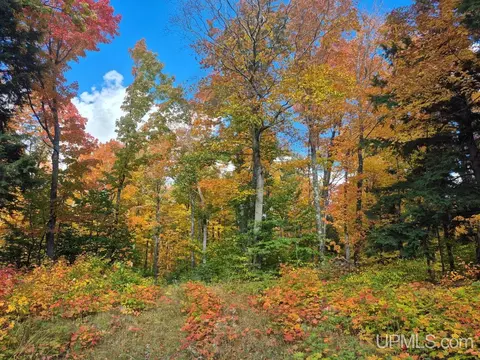 80 Acres Co Rd 510, Ishpeming, MI 49849 photo 10