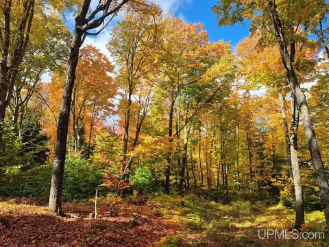 80 Acres Co Rd 510, Ishpeming, MI 49849 photo 5