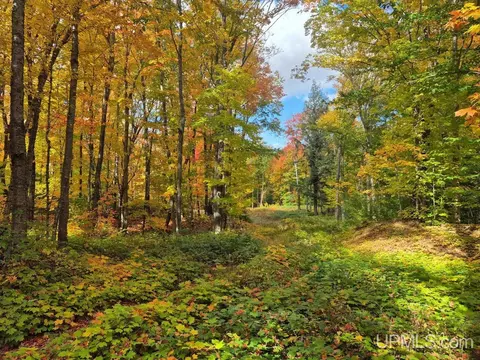 80 Acres Co Rd 510, Ishpeming, MI 49849 photo 6