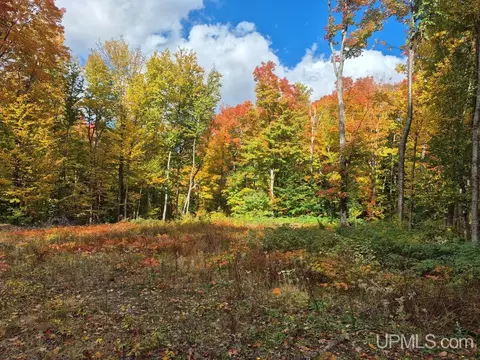 80 Acres Co Rd 510, Ishpeming, MI 49849 photo 14