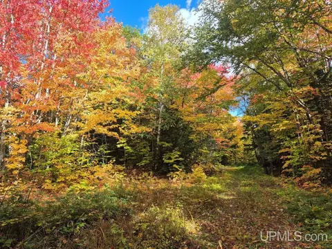 80 Acres Co Rd 510, Ishpeming, MI 49849 photo 19