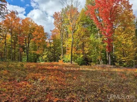 80 Acres Co Rd 510, Ishpeming, MI 49849 photo 4
