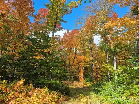 80 Acres Co Rd 510, Ishpeming, MI 49849 photo 7