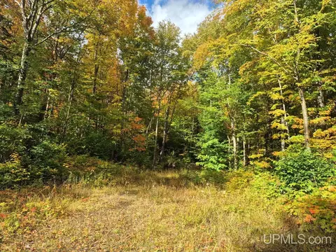 80 Acres Co Rd 510, Ishpeming, MI 49849 photo 15