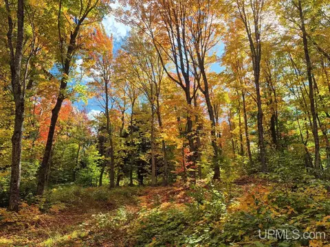 80 Acres Co Rd 510, Ishpeming, MI 49849 photo 17