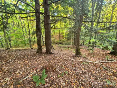 80 Acres Co Rd 510, Ishpeming, MI 49849 photo 12