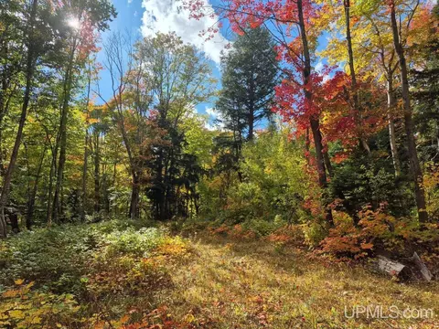 80 Acres Co Rd 510, Ishpeming, MI 49849 photo 9