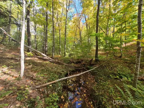 80 Acres Co Rd 510, Ishpeming, MI 49849 photo 11