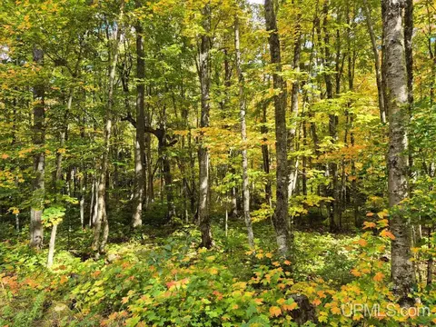 80 Acres Co Rd 510, Ishpeming, MI 49849 photo 16