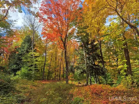 80 Acres Co Rd 510, Ishpeming, MI 49849 photo 8