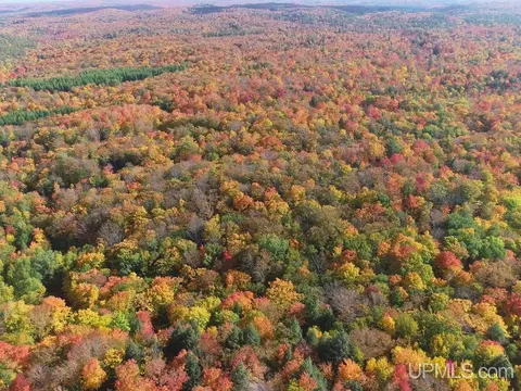 80 Acres Co Rd 510, Ishpeming, MI 49849 photo 21